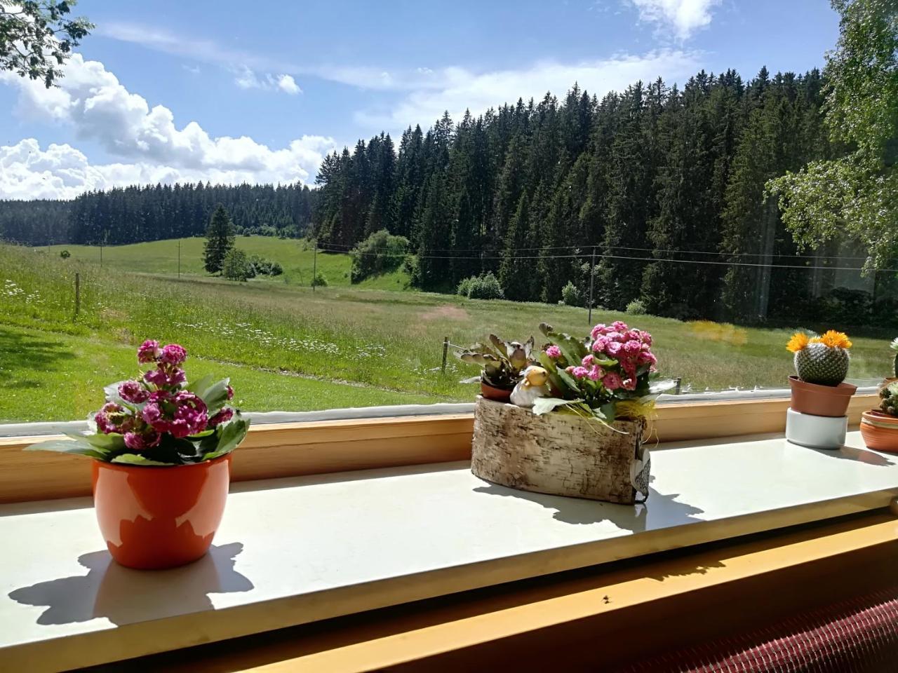 Hotel Kaltenbach Шёнвальд Экстерьер фото
